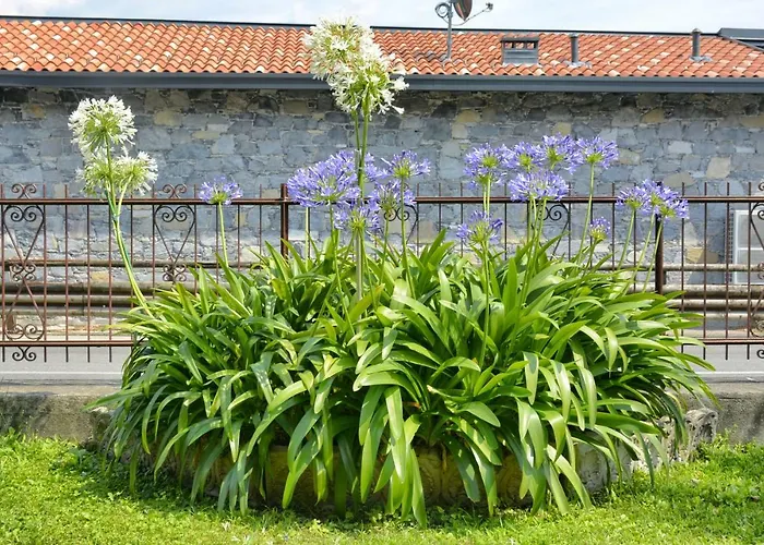 شقة Casa Giardino Fiorito *