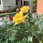 Casa Giardino Fiorito 公寓 圣西罗