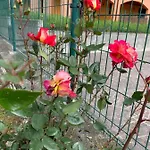 Casa Giardino Fiorito 圣西罗