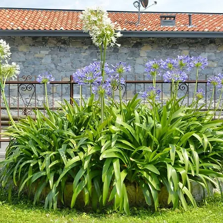 아파트 Casa Giardino Fiorito *