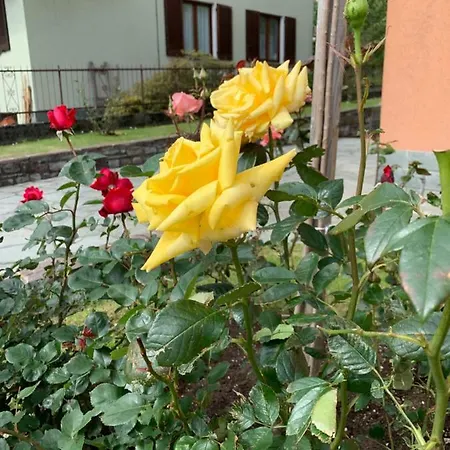 Giardino Fiorito Lägenhet San Siro (Lombardy)
