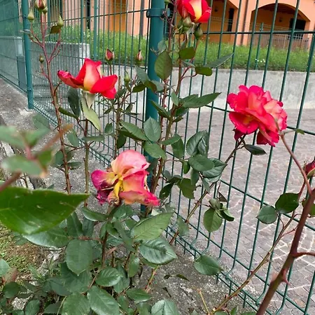 Casa Giardino Fiorito San Siro (Lombardy)