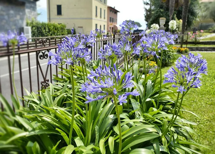 Casa Giardino Fiorito *