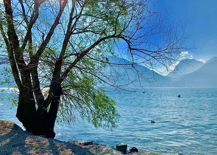 Casa Giardino Fiorito 산 시로