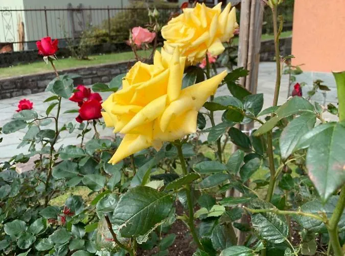 Casa Giardino Fiorito 아파트 산 시로