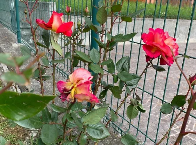 Casa Giardino Fiorito 산 시로