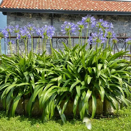 Casa Giardino Fiorito * Сан-Сиро