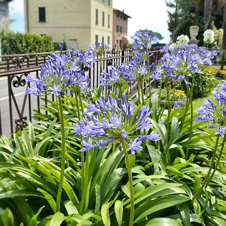 Casa Giardino Fiorito *